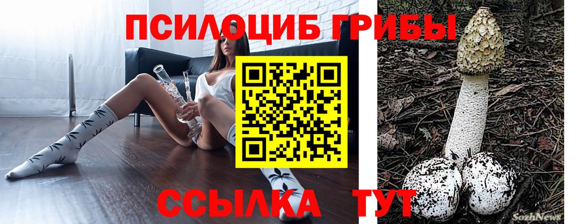 Псилоцибиновые грибы Magic Shrooms Осинники
