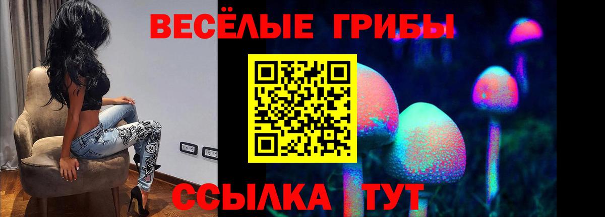 Осинники  Псилоцибиновые грибы Psilocybe  Псилоцибиновые грибы Magic Shrooms  что такое наркотик  Вход с VPN 