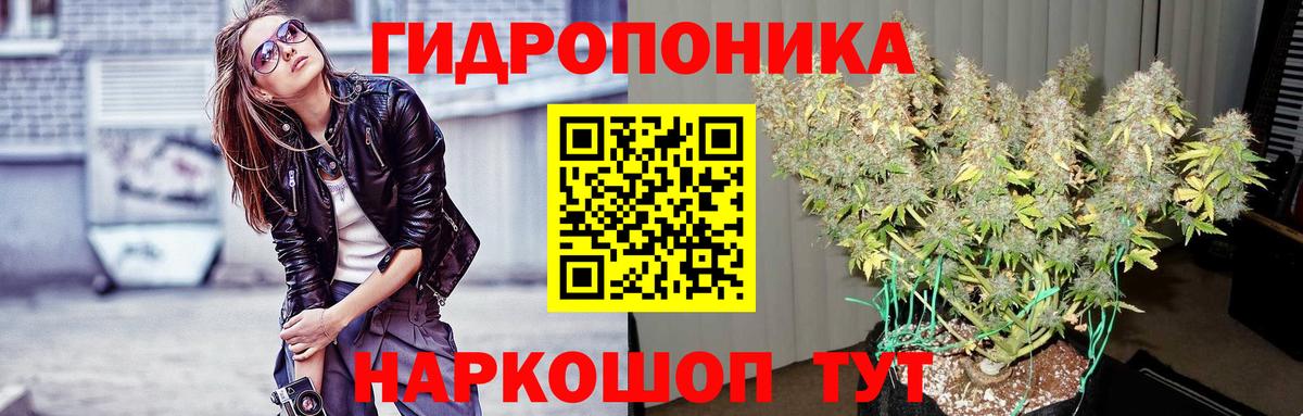 Бошки Шишки ГИДРОПОН Осинники
